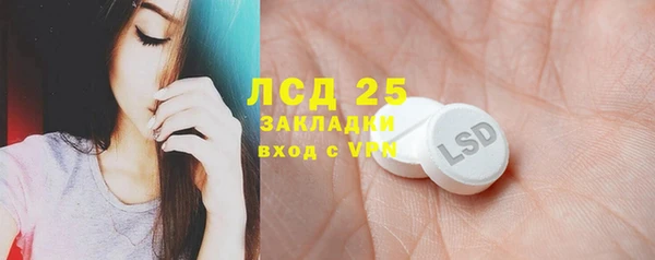 прущие грибы Зерноград