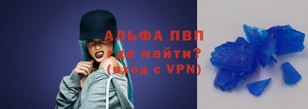 прущие грибы Зерноград